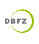DBFZ Logo